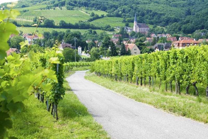 Appartement Avec Terrasse Entre Vignes, Balades, Alsace Guebwiller Eksteriør billede