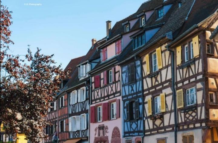 Appartement Avec Terrasse Entre Vignes, Balades, Alsace Guebwiller Eksteriør billede
