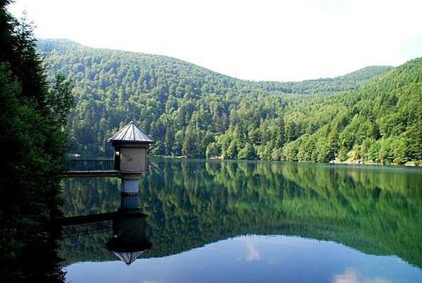 Appartement Avec Terrasse Entre Vignes, Balades, Alsace Guebwiller Eksteriør billede