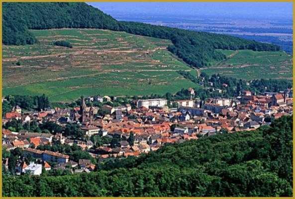 Appartement Avec Terrasse Entre Vignes, Balades, Alsace Guebwiller Eksteriør billede